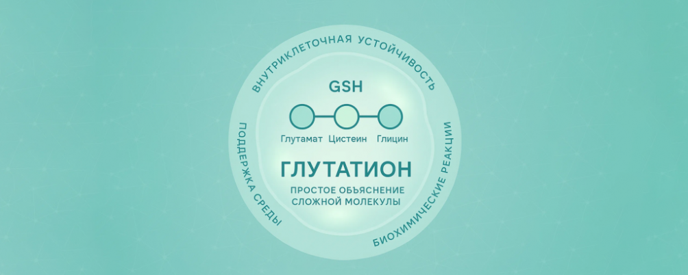 Почему глутатион важен для организма: простое объяснение